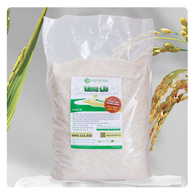 Gạo ST21 Long Lài Chất Việt